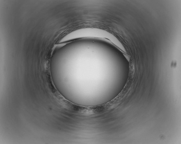 X0000090610276200708141357