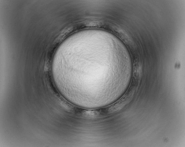 X0000090610277200708141357