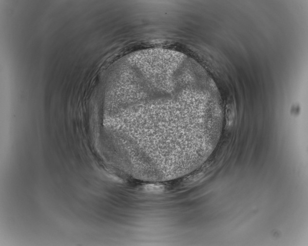 X0000090610279200708141357