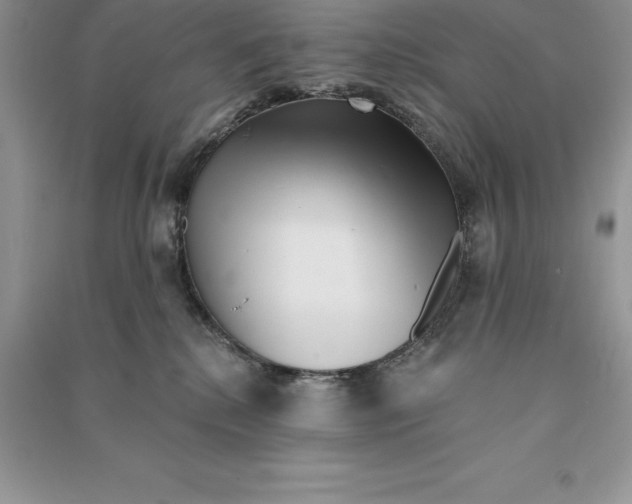 X0000090610280200708141357