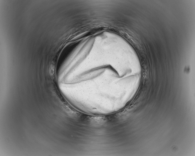 X0000090610281200708141357