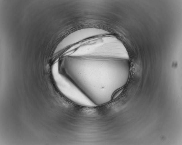 X0000090610283200708141357