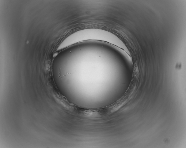 X0000090610284200708141357