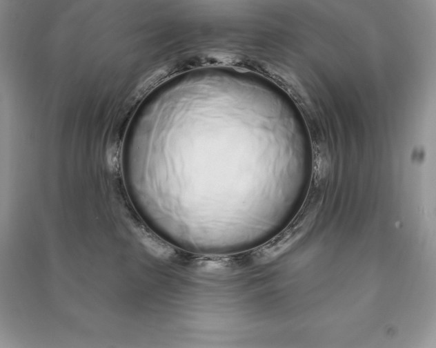 X0000090610285200708141357