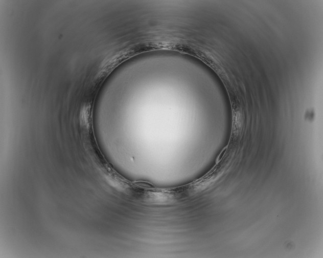 X0000090610286200708141357