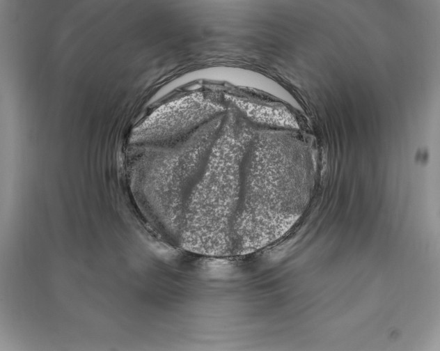 X0000090610287200708141357