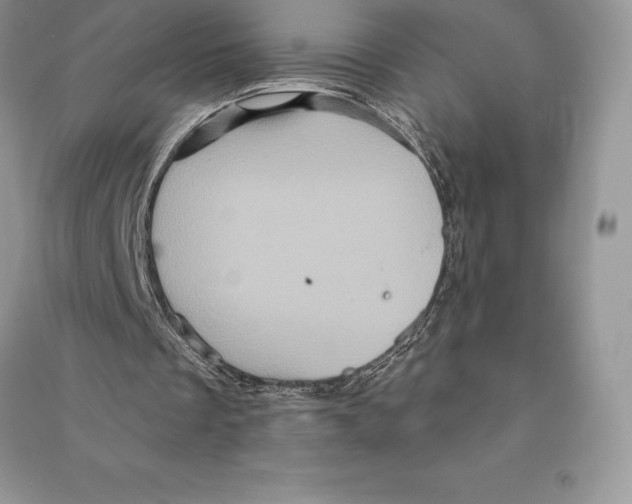 X0000090610289200708141357