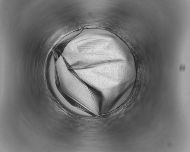 X0000090610290200708141357