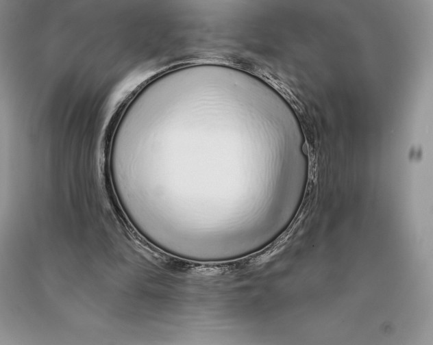 X0000090610294200708141357