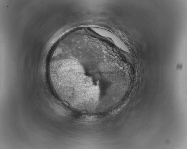 X0000090610295200708141357