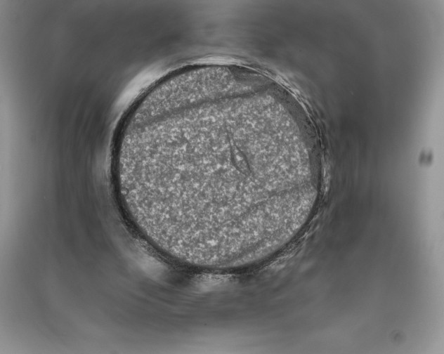 X0000090610296200708141357