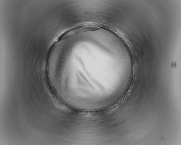 X0000090610297200708141357