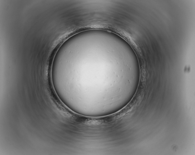 X0000090610299200708141357