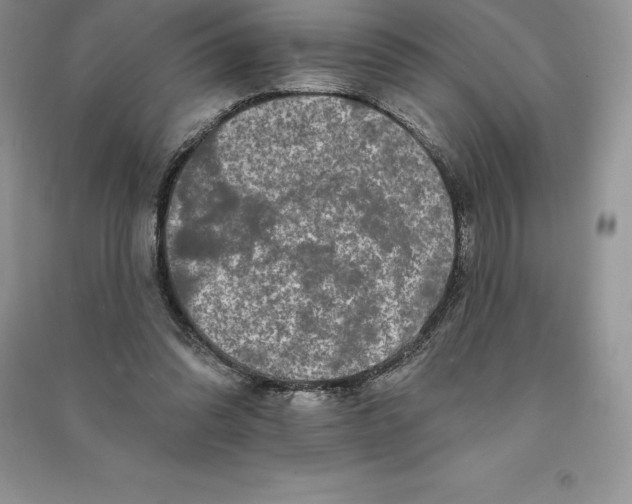 X0000090610302200708141357