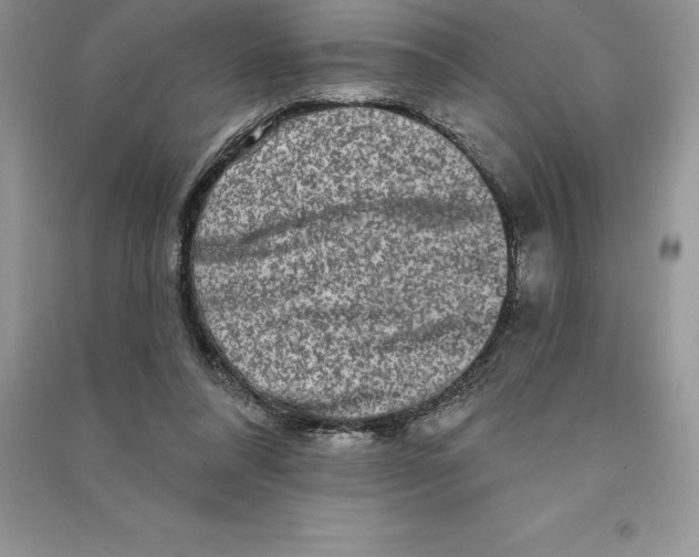 X0000090610304200708141357