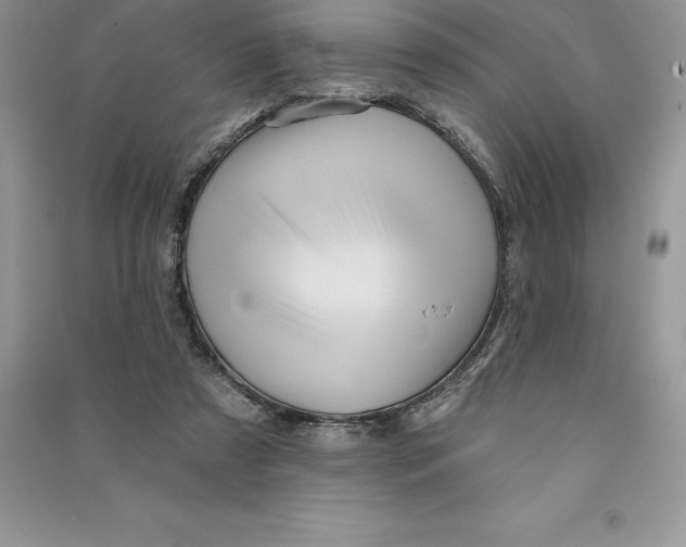 X0000090610305200708141357