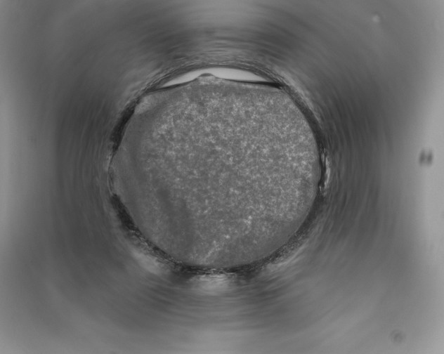 X0000090610307200708141357