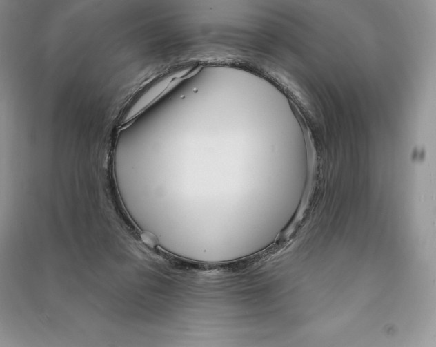 X0000090610309200708141357