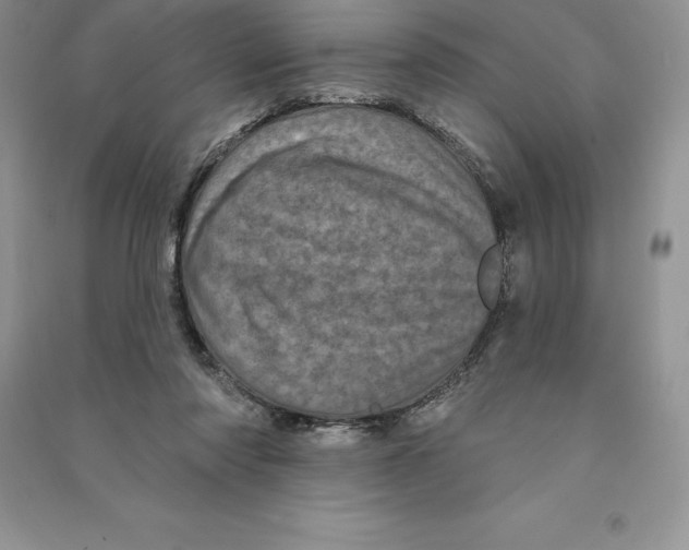 X0000090610310200708141357