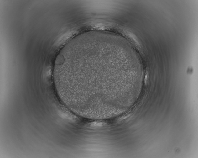 X0000090610314200708141357