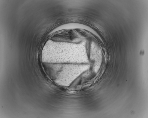 X0000090610315200708141356