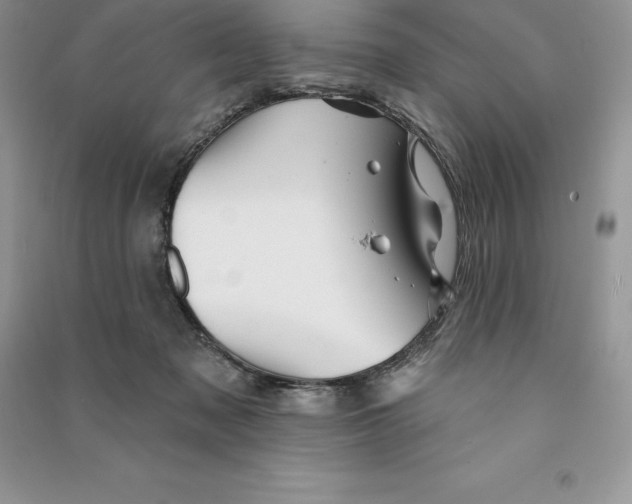 X0000090610317200708141356