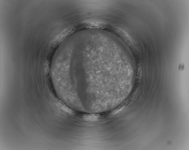 X0000090610318200708141356