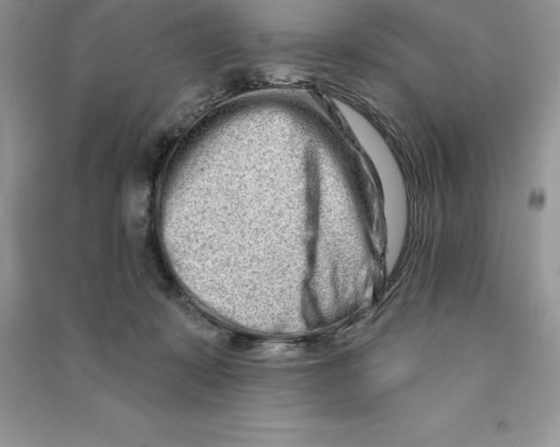 X0000090610319200708141356