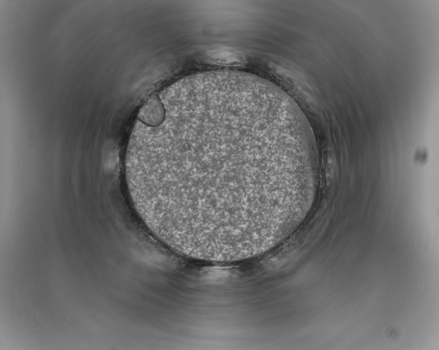 X0000090610320200708141356