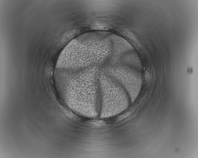 X0000090610322200708141356