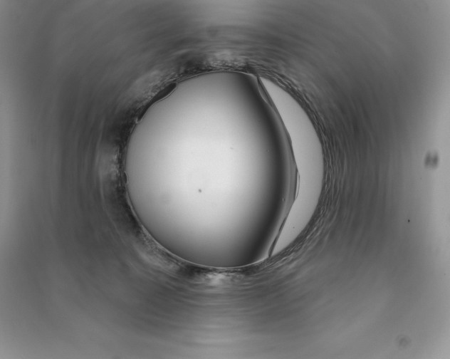 X0000090610323200708141356