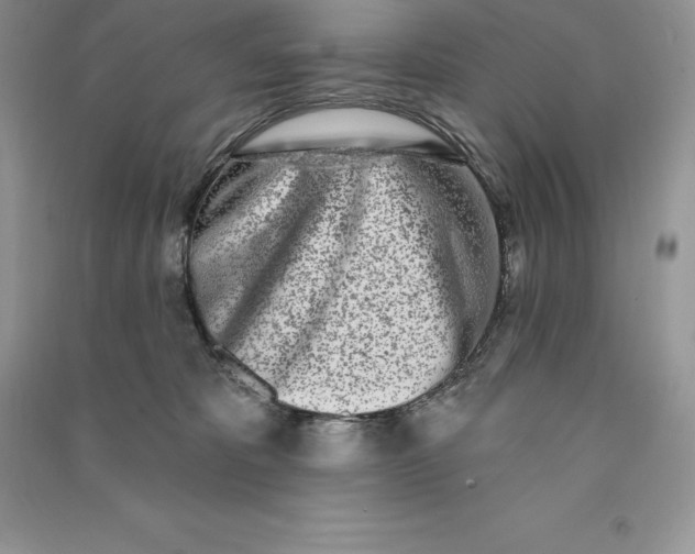 X0000090610325200708141356