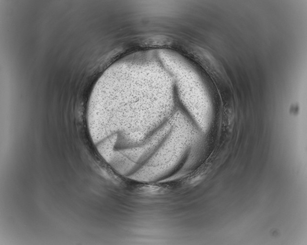 X0000090610326200708141356