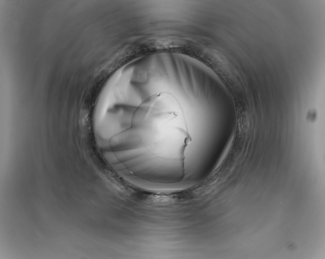 X0000090610327200708141356