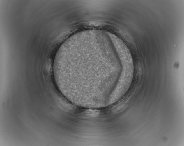 X0000090610328200708141356