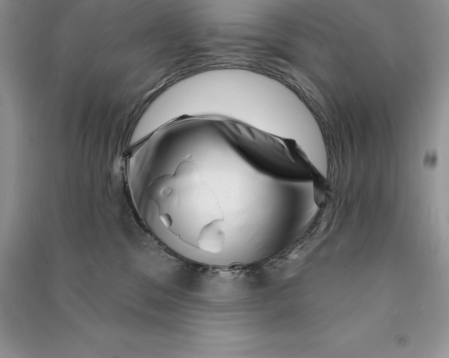 X0000090610329200708141356