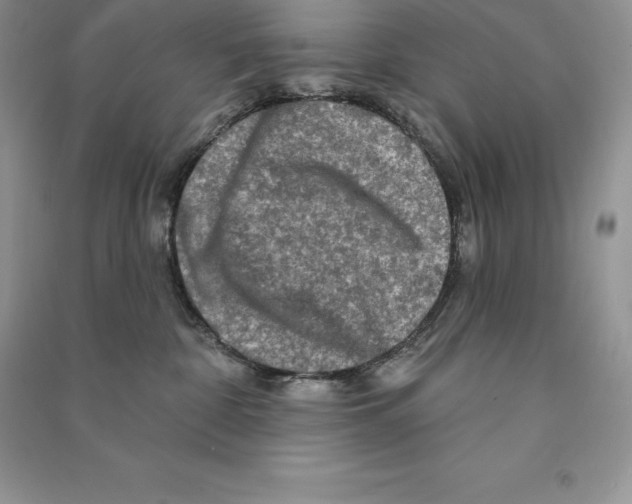 X0000090610332200708141356