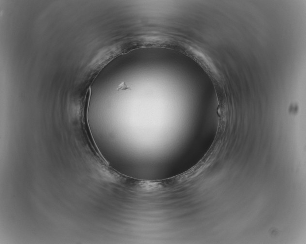 X0000090610333200708141356