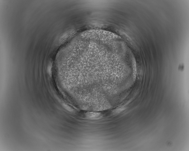 X0000090610334200708141356