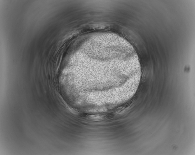 X0000090610335200708141356