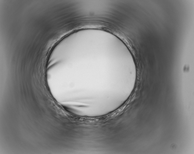 X0000090610337200708141356