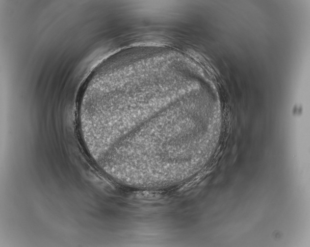 X0000090610338200708141356