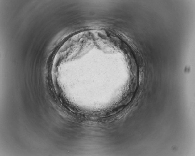 X0000090610339200708141356