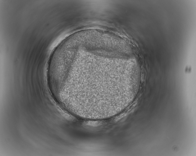 X0000090610341200708141356