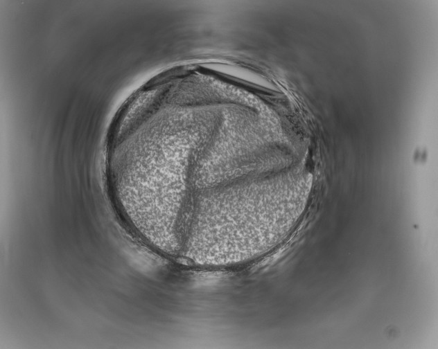 X0000090610342200708141356