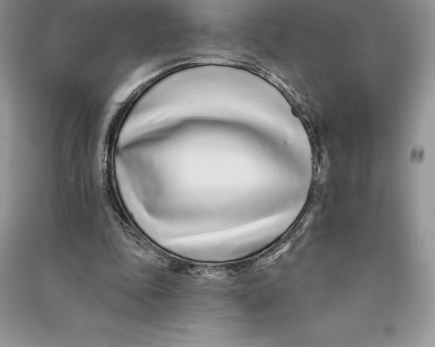 X0000090610343200708141356