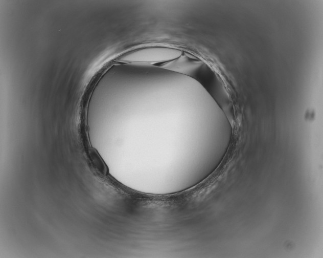 X0000090610344200708141356