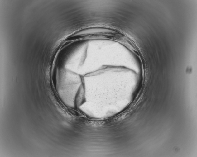 X0000090610345200708141356