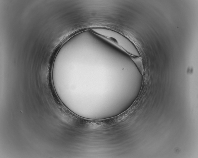 X0000090610346200708141356