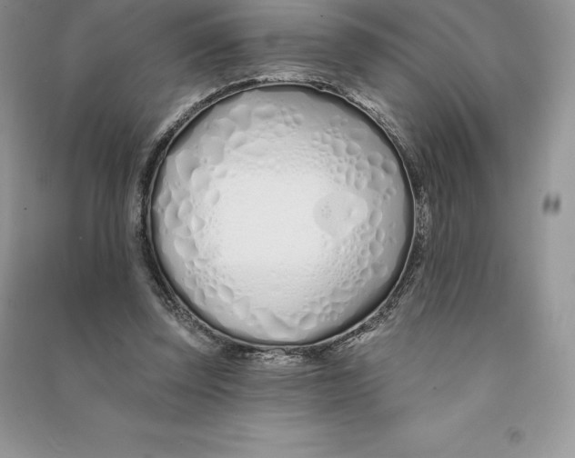 X0000090610347200708141356